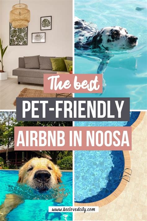 airbnb dog friendly|Luxury dog